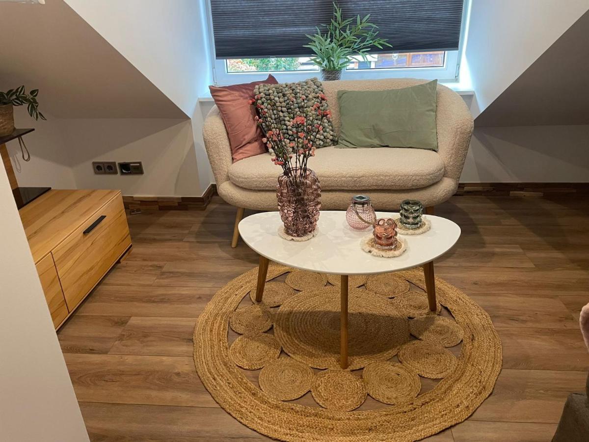 Hallo Maastricht B&B Fientje المظهر الخارجي الصورة